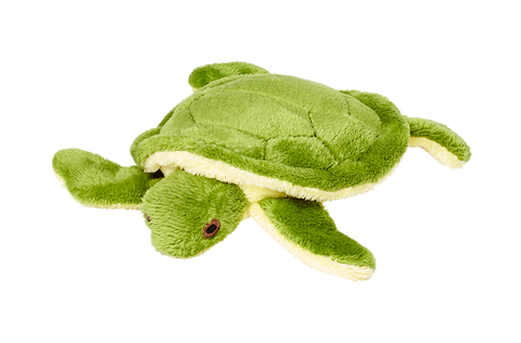 Shelly Turtle