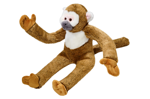 Albert Monkey