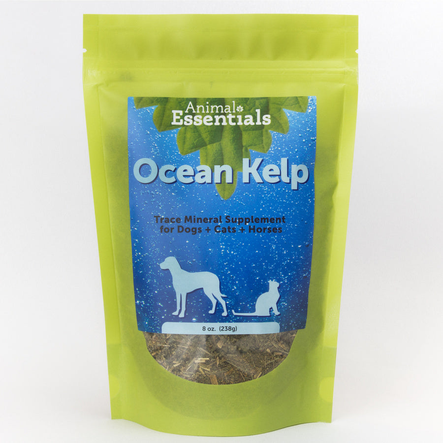 Organic Ocean Kelp