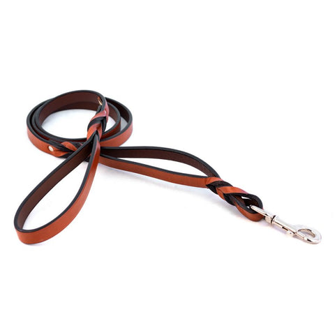 Two handled braided leash