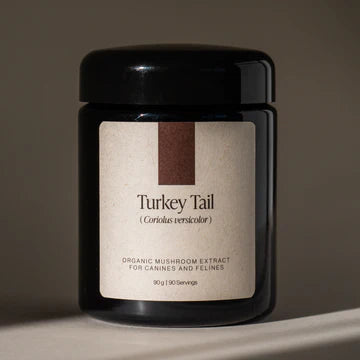 Organic Turkey Tail Single Strain Powder